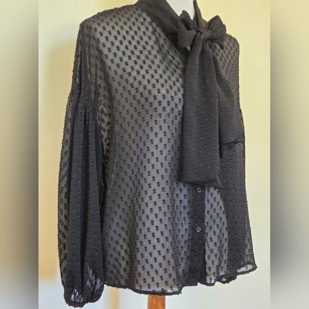 H&M Black Sheer Polka Dot Blouse